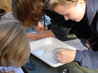 hands-on watershed science education