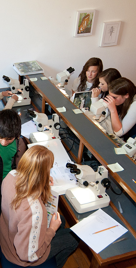 Forest Charter School students in the macro lab