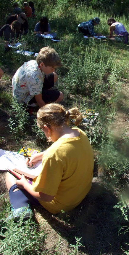 Nature journaling
