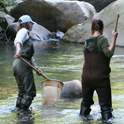Friends of Deer Creek