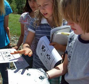 Science Enrichment